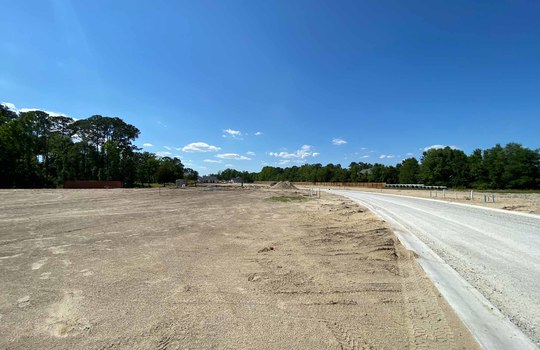 The Reserve at Beaumont Oaks - Streetscape