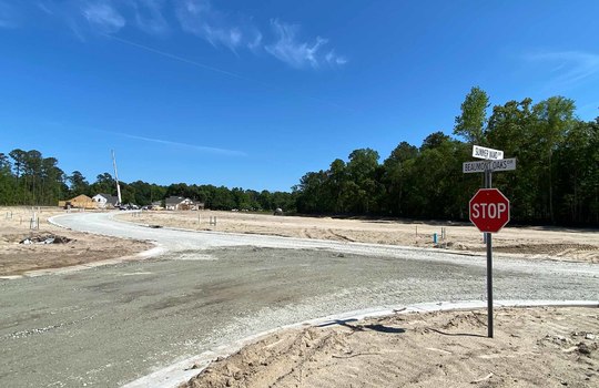 The Reserve at Beaumont Oaks - Streetscape