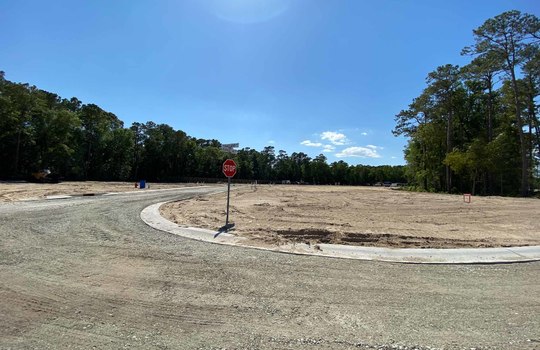 The Reserve at Beaumont Oaks - Streetscape