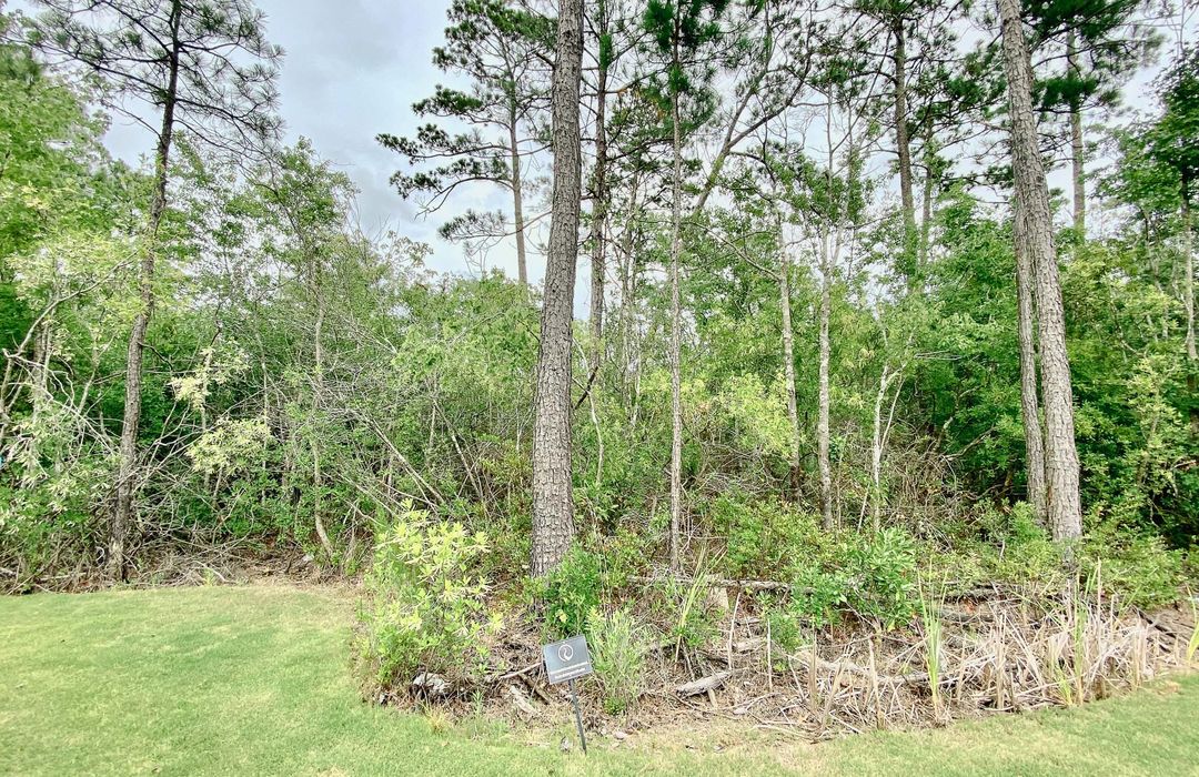 Carolina Creek Homes for Sale in Hampstead, NC The Cameron Team