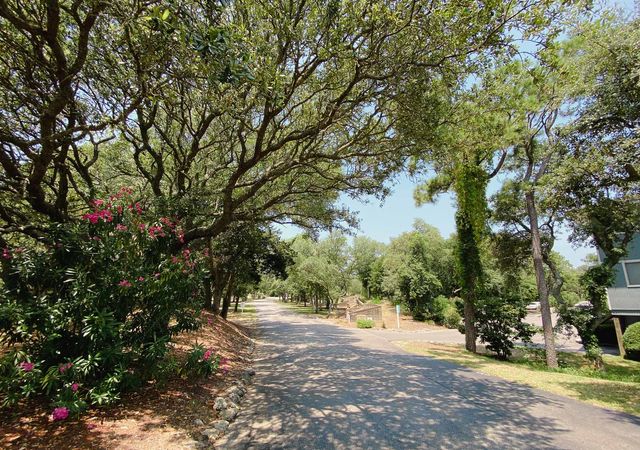 Caswell Beach - Street