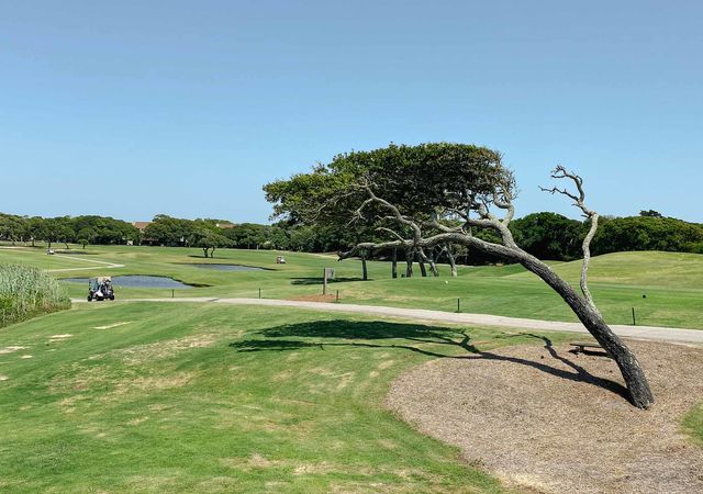 Oak Island Golf Club - Course