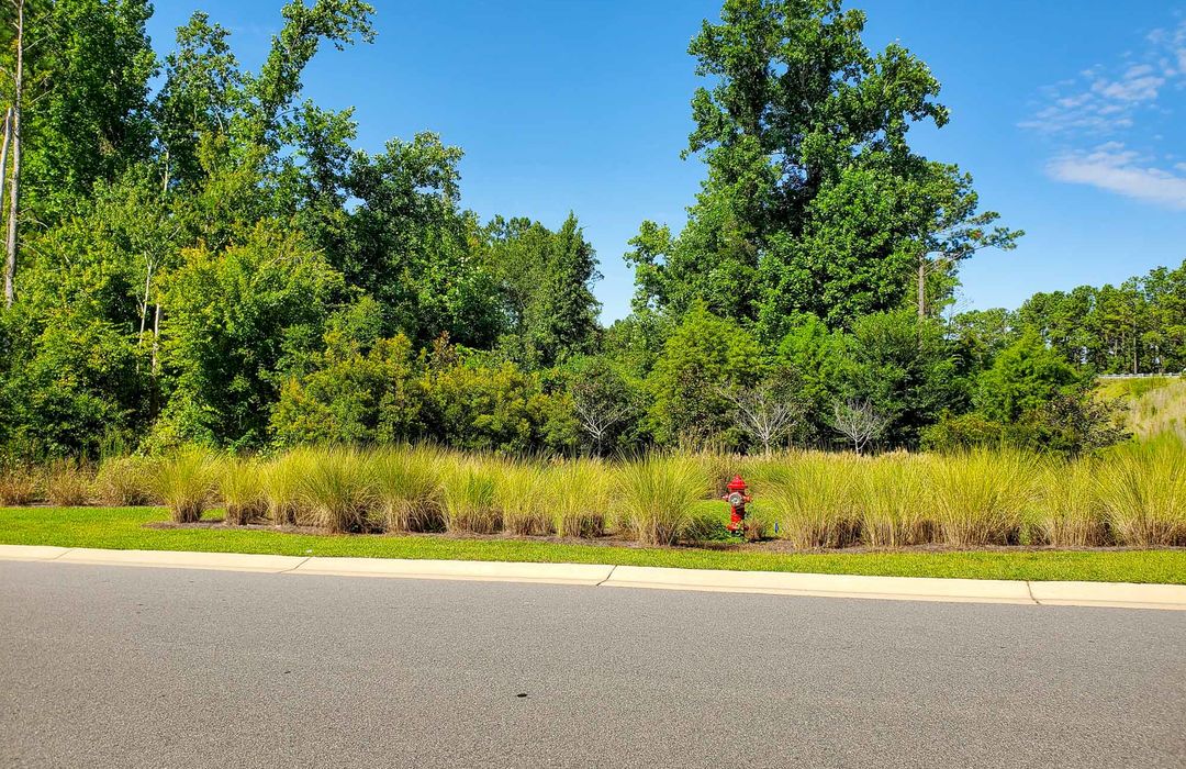 Murrayville Crossing Homes for Sale in Wilmington, NC Cameron Team