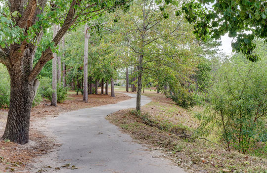 Cedar Ridge at Inland Greens - Walking Trail