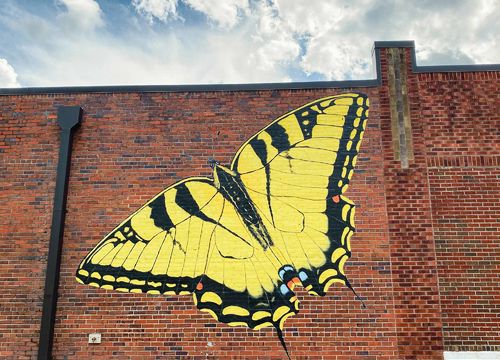 Whiteville in Columbus County - Yellow Butterfly Mural