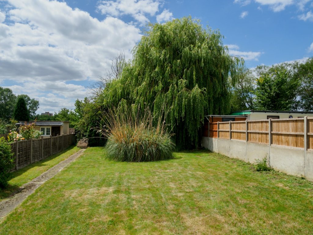Back yard with Weeping Willow Tree. 
