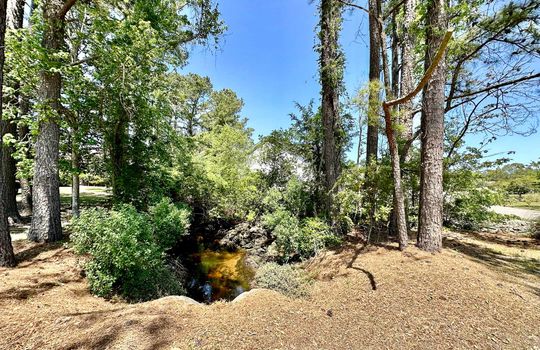 The Cape - Landscape