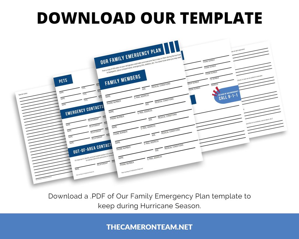 Download Our Family Emergency Plan Template