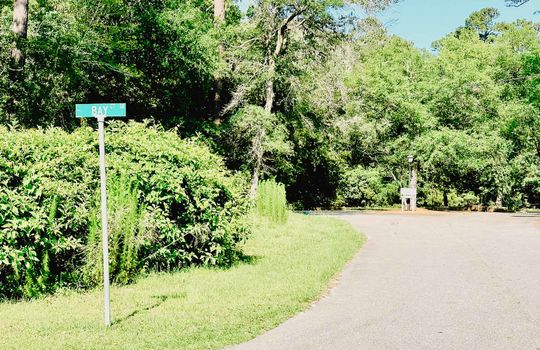River Run Plantation - Streetscape