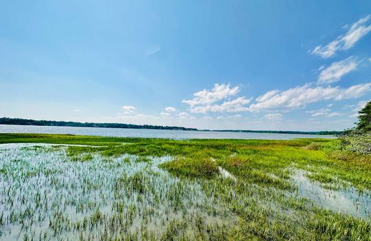 River Run Plantation - River Boardwalk