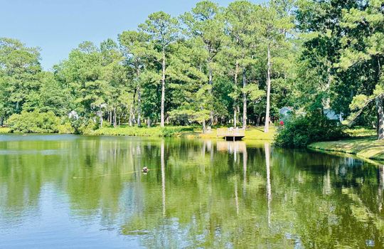 River Run Plantation - Pond