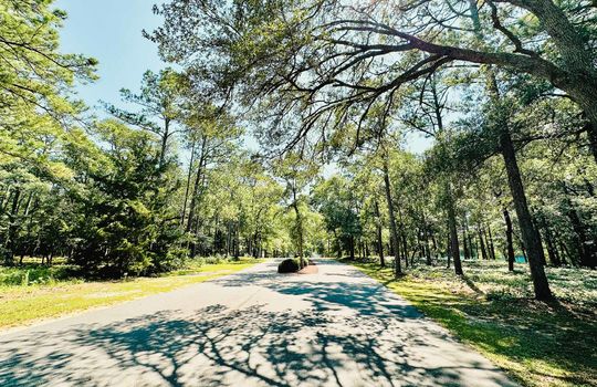 River Run Plantation - Streetscape