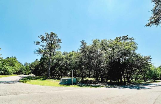 River Run Plantation - Streetscape