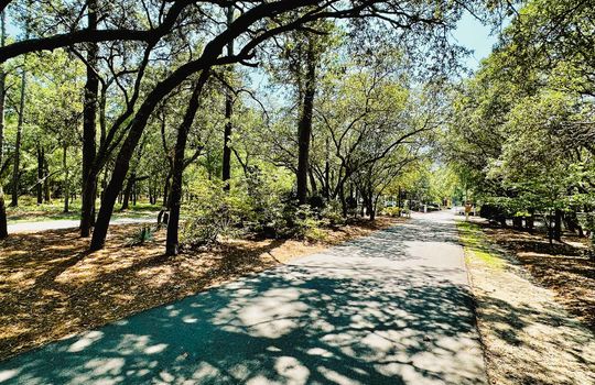 River Run Plantation - Streetscape