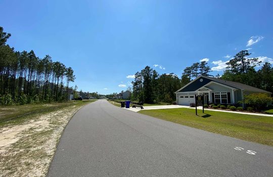 Harrison Cove - Streetscape