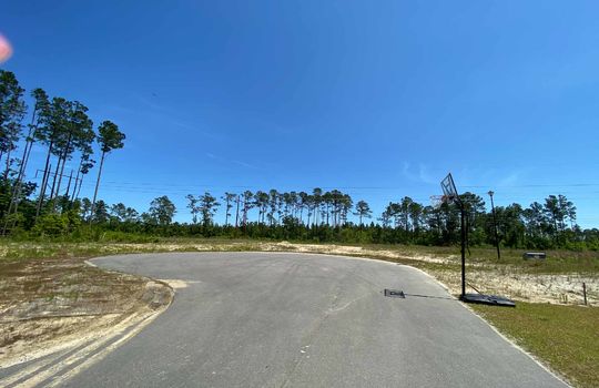 Harrison Cove - Streetscape