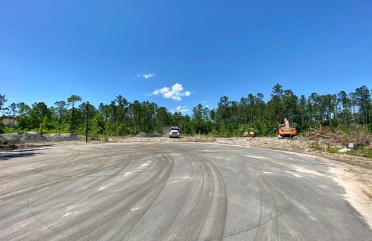 Harrison Cove - Streetscape