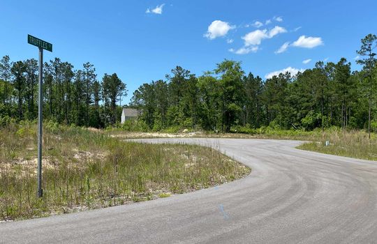 Harrison Cove - Streetscape