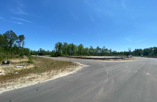 Harrison Cove - Streetscape