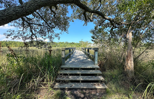Headwater Cove - Community Dock