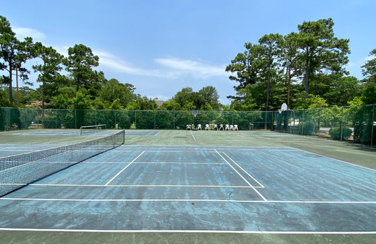 The Arboretum - Courts