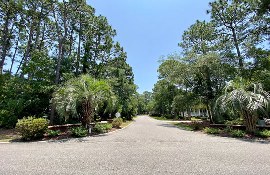 The Arboretum - Streetscape