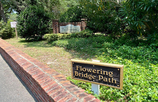 The Arboretum - Flowering Bridge Path