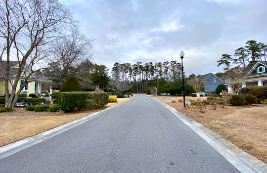 The Cottages at Hewletts Creek - Streetscape