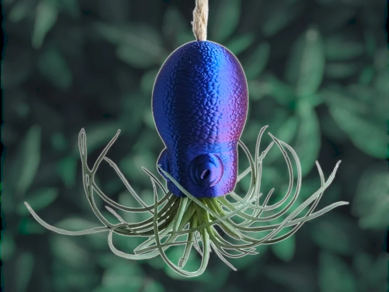 The air plant hangs in place of the octopuses' tentacles.