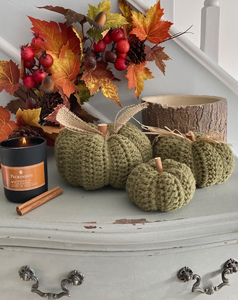 Rach and Nic - Crochet Pumpkin Decorations
