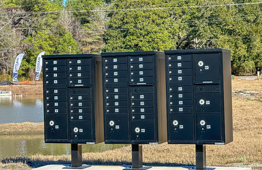 Cherry Tree - Mailboxes