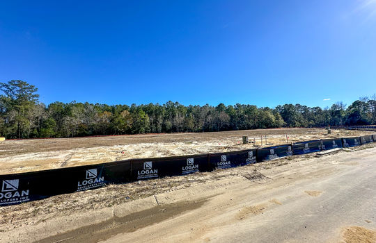 Cherry Tree - Empty Lots