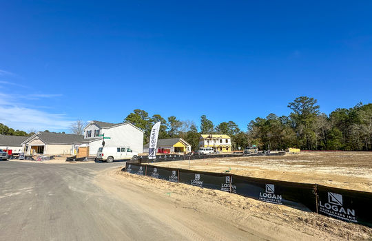 Cherry Tree - Empty Lots
