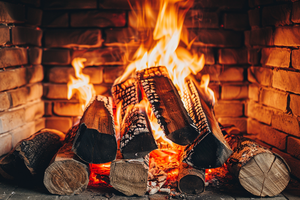 Wood Burning Fireplace