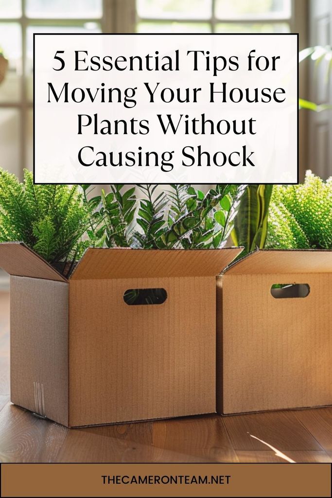 5 Essential Tips for Moving Your House Plants Without Causing Shock