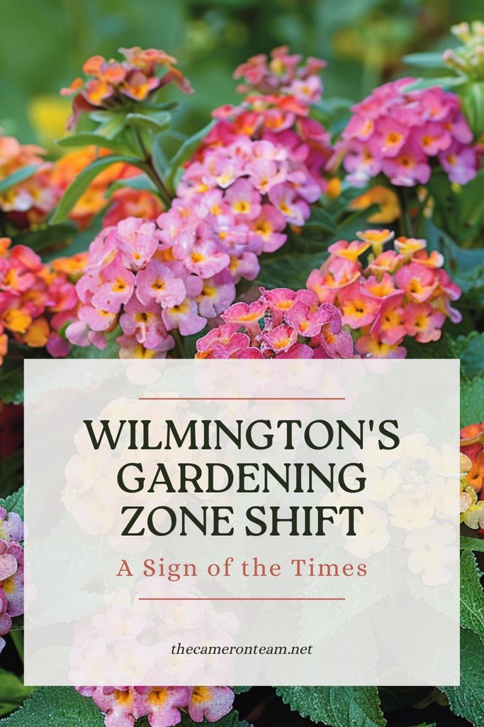 Wilmington's Gardening Zone Shift A Sign of the Times