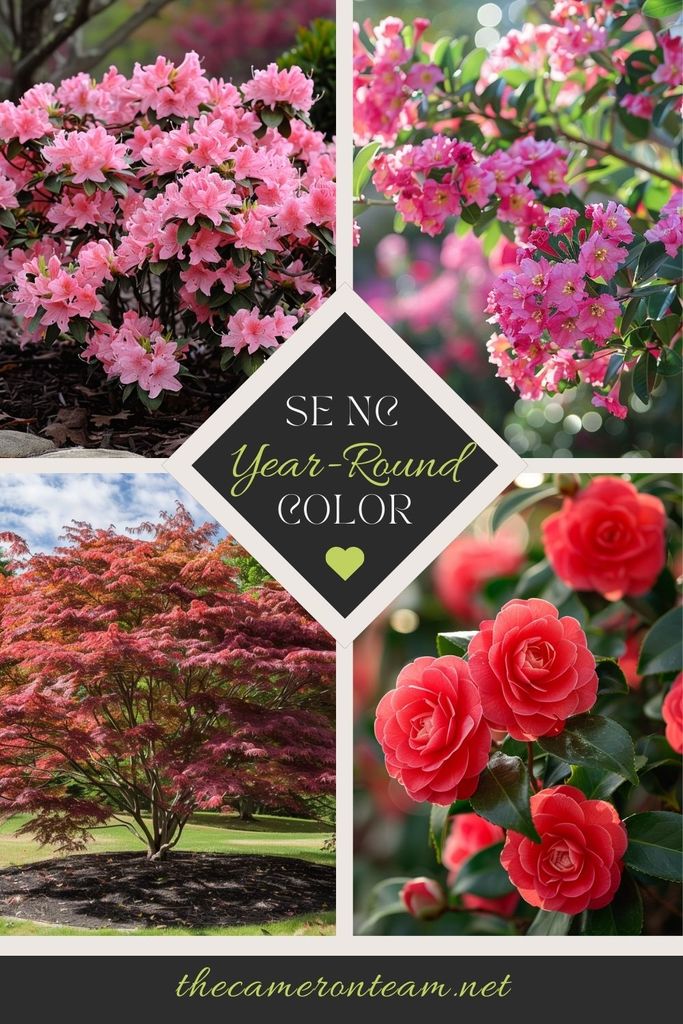 Year-Round Color for Your Southeastern NC Garden - Zones 8a and 8b Pin