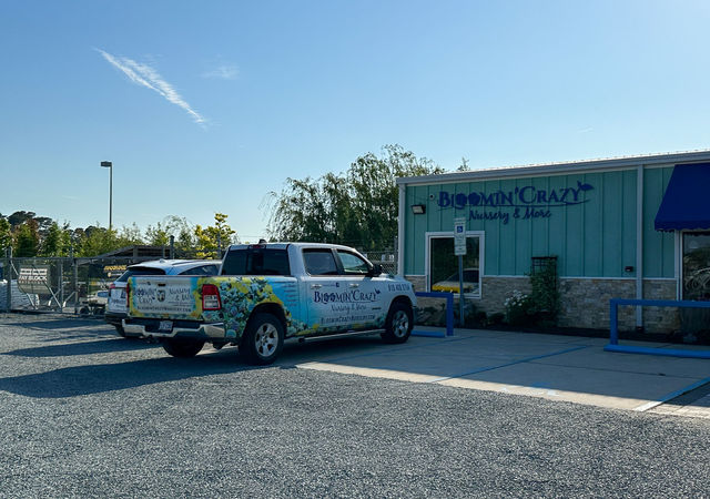 Bloomin' Crazy & More in Belville, NC