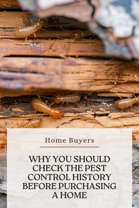 Why Home Buyers Should Check the Pest Control History Before Purchasing
