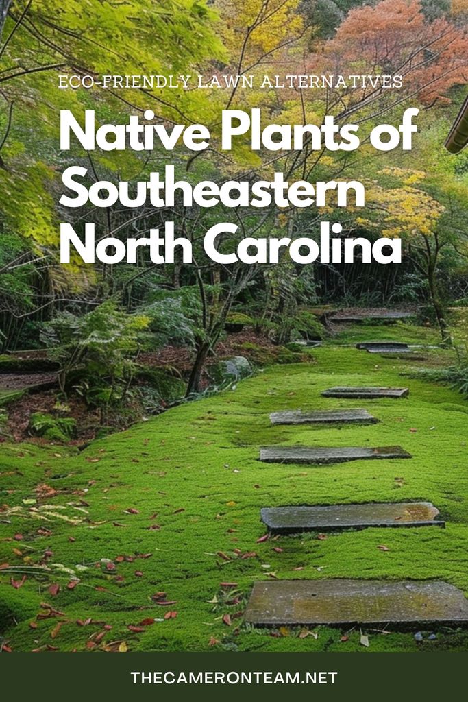 Eco-Friendly Lawn Alternatives: Native Plants of Southeastern North Carolina