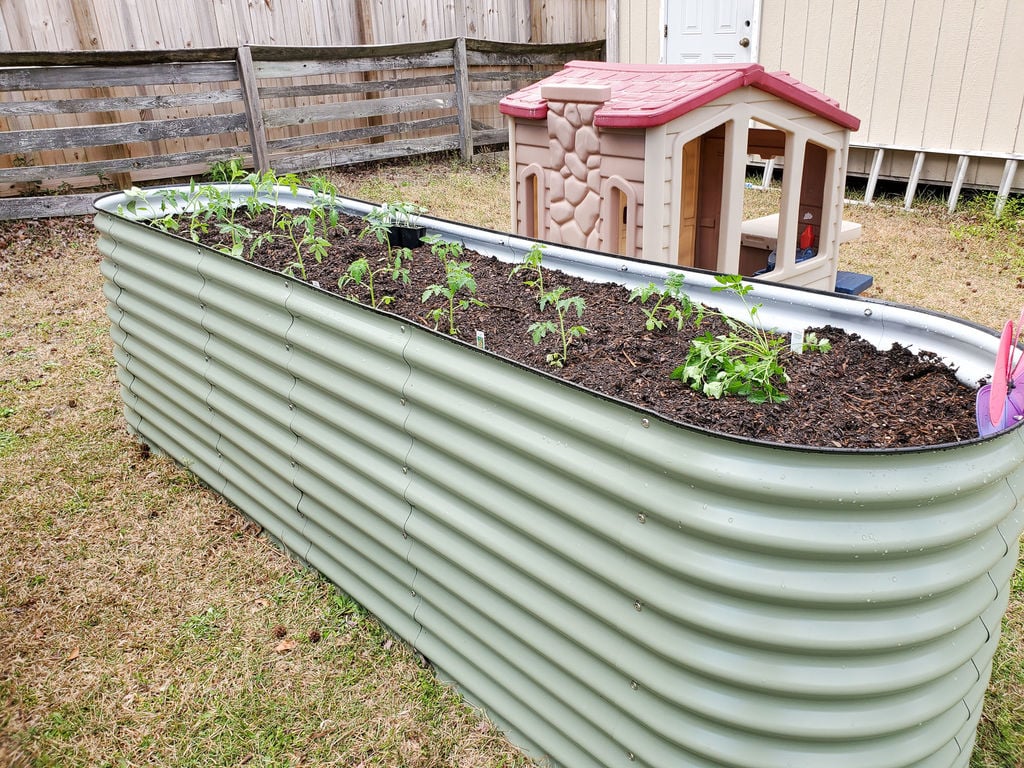 Tomatoes, Peppers, and Herbs