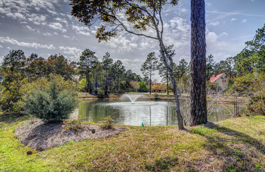 Pelican Reef - Pond