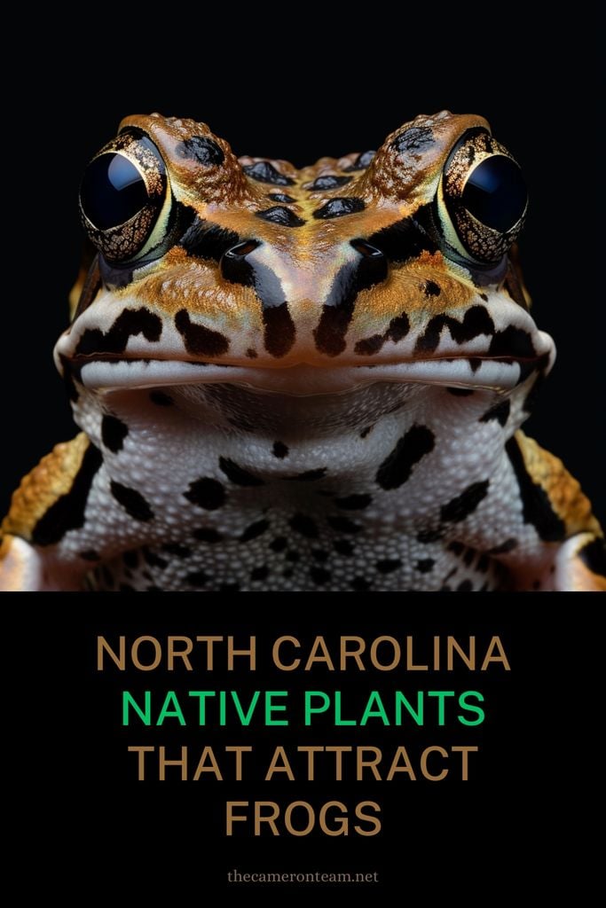 North Carolina Native Plants That Attract Frogs