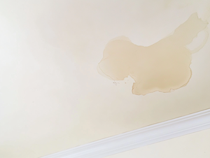 Ceiling Stain