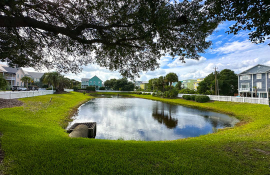 Harbour Point - Pond