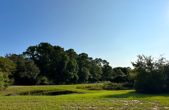 The Landing at Southport - Greenspace