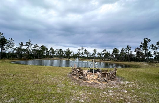 Kingbird in Rocky Point, NC