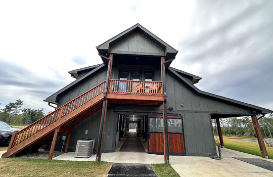 Kingbird in Rocky Point, NC