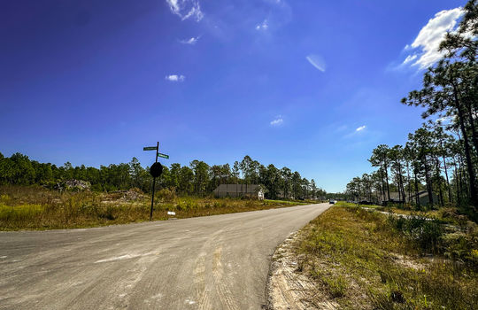 The Highlands at Boiling Spring Lakes - Example Homes and Streetscapes