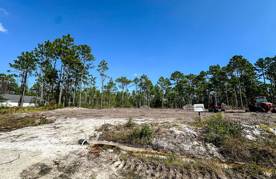 The Highlands at Boiling Spring Lakes - Example Homes and Streetscapes
